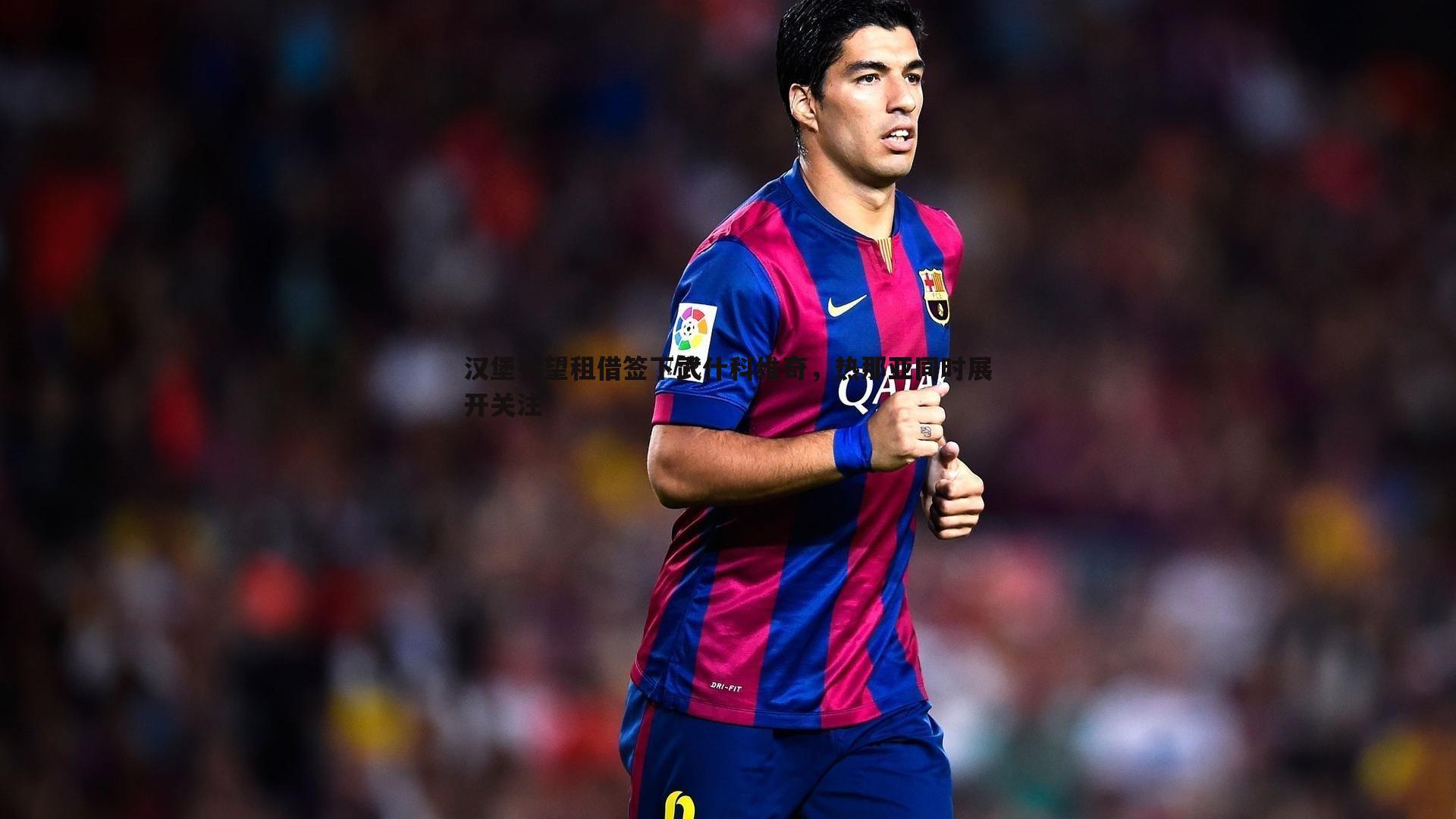 球友直播官网-汉堡有望租借签下武什科维奇，热那亚同时展开关注